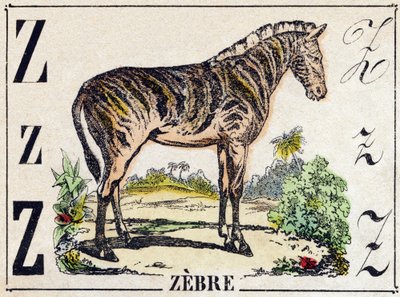 Carta Zebra. Gravura em "Alphabet des animaux sauvages". 9ª Série. Imagery of Epinal, Pellerin, printer-publisher, circa 1870. Gravura em madeira, stencilada. 16 páginas. Dimensões: 20 x 15 cm. Coleção Particular de French School