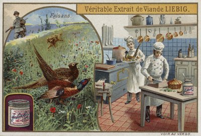 Cartão Liebig com faisões de French School