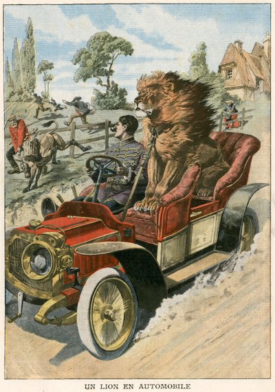 Leão em um automóvel de French School