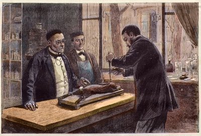 Louis Pasteur (1822-1895), químico e microbiologista francês, experimentando em um coelho cloroformado durante sua busca por uma cura para a Raiva. de French School