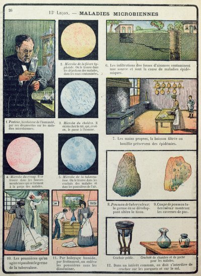Louis Pasteur (1822-95) e Doenças Bacterianas, das Ciências Físicas e Naturais, Paris, 1908 de French School