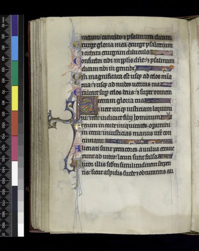 MS 300 f.61v, fólio do Saltério e Horas de Isabel da França, Paris, c.1265-70 de French School
