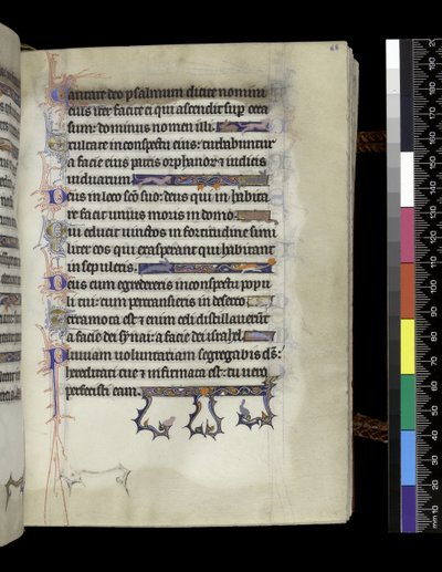 MS 300 f.68r, fólio do Saltério e Horas de Isabel da França, Paris, c.1265-70 de French School