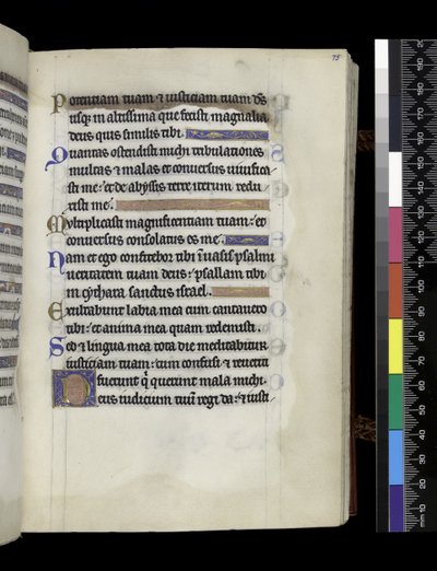 MS 300 f.75r, do Saltério e Horas de Isabella de França, Paris, c.1265-70 (caneta e tinta e têmpera sobre pergaminho) de French School