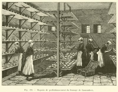 Loja de melhoramento de queijo Camembert (gravura) de French School