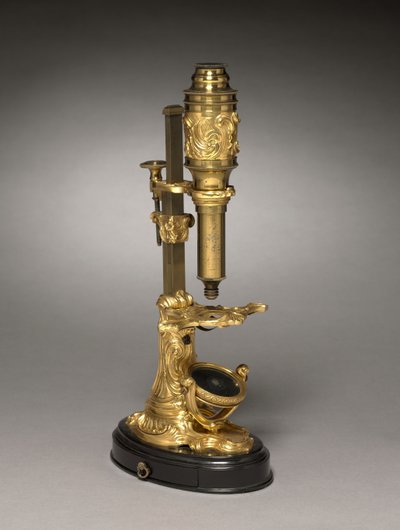 Microscópio, c.1745-1765 de French School