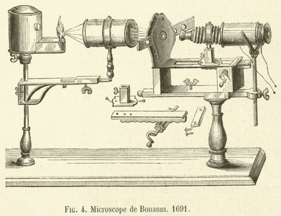 Microscópio de Bonanni de French School