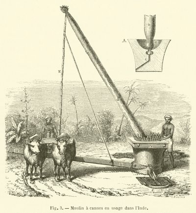 Fábrica de canas em uso na Índia (gravura) de French School