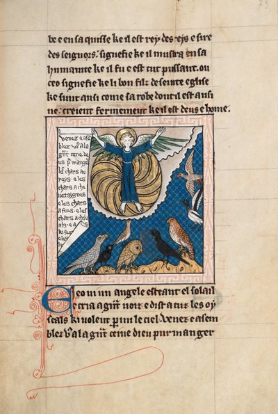 Ms65 f73r, Comentário sobre o Apocalipse de São João, final do século 13 (caneta e tinta e têmpera sobre velino) de French School