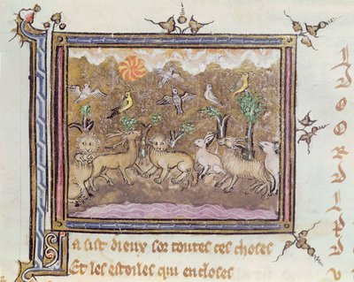 Ms 1044 fol.18 A Criação dos Animais, de Ovide Moralise escrito por Chretien Legouais de French School