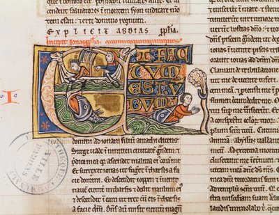 Ms 21 Fol.163v Historiated inicial E retratando Jonah sendo jogado no mar, de uma bíblia não especificada de French School