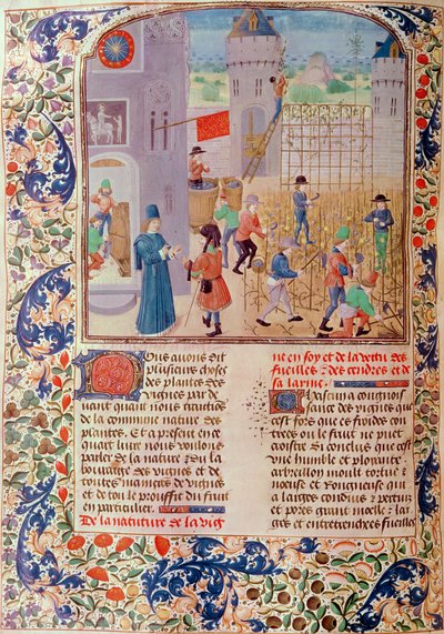 Ms 5064 fol.68v Trabalhando na Vinha, de Livre des Prouffitz Champestres de Pietro de Crescenzi (1230-1321) de French School