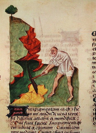 Ms 59 fol.3v À procura de ouro, de Grand Herbier por Pedanius Dioscorides (c.40-90) de French School