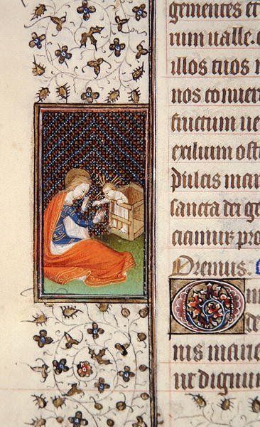 Sra. 62, f.205v: Virgem e Criança, detalhe de um Livro de Horas francês, c.1445-50 (vellum) de French School