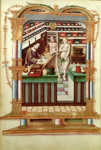 Senhor Pe. 1537 Cristo, o Farmacêutico com Adão e Eva, das Canções Reais sobre a Concepção Coroada de Puy de Rouen de French School