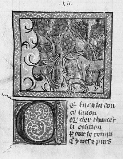 Sra. Fr 1580 A raposa, o lobo e o cão, de Le Roman de Renart de French School
