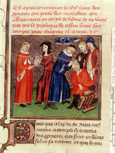 Sra. Fr 22531 Fol.115 O Exame de Urina e a Cura de Feridas, de Le Livre des Propriets des Choses por Barthelemy lAnglais, c.1410-15 de French School