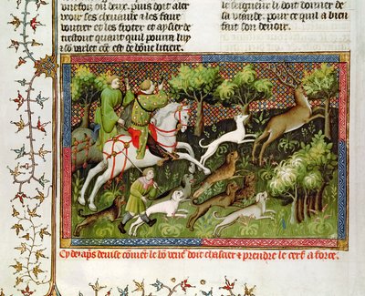 Sra. 616 fol.77 Stag Hunting, do Livro de Caça de Gaston Phebus de Foix (1331-1391) de French School