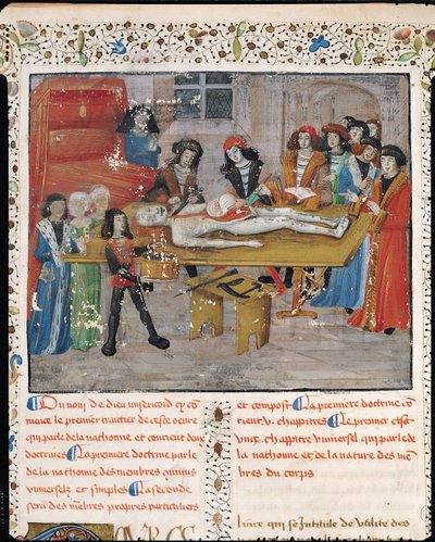 Ms H 184 fol.14v Aula de dissecação na Faculdade de Medicina de Montpellier, de &39;La Grande Chirurgie&39; de Guy de Chauliac, 1363 de French School