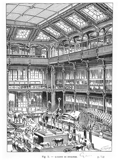 Museu de História Natural de Paris de French School