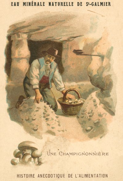 Cultivador de cogumelos (chromolitho) de French School