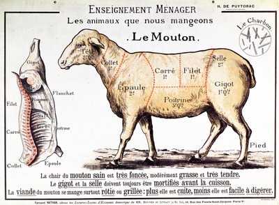 Carneiro: diagrama representando os diferentes cortes de carne de French School