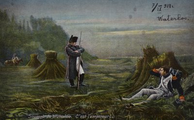 Napoleão em Waterloo (litografia a cores) de French School