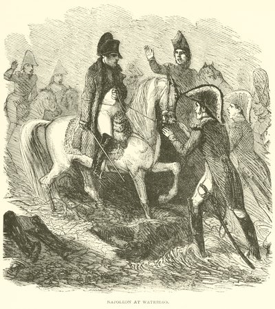 Napoleão em Waterloo (gravura) de French School