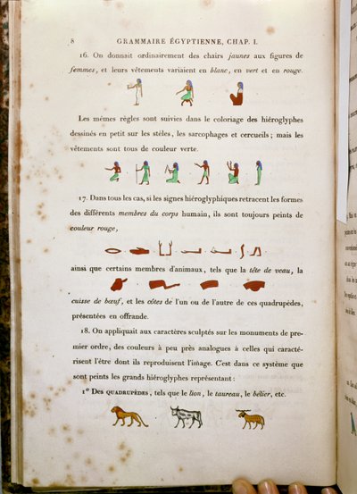 Notas sobre a coloração de certos hieróglifos, de Grammaire Egyptienne por Jean François Champollion (1790-1832) 1836 de French School