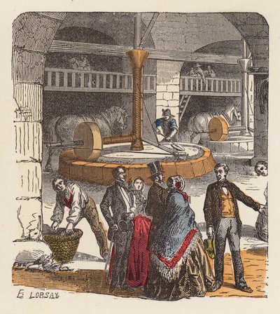 Produção de azeite (gravura colorida) de French School