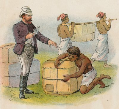 Embalagem para explorar a África de French School