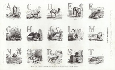 Página de Vignettes Typographiques (gravura) de French School