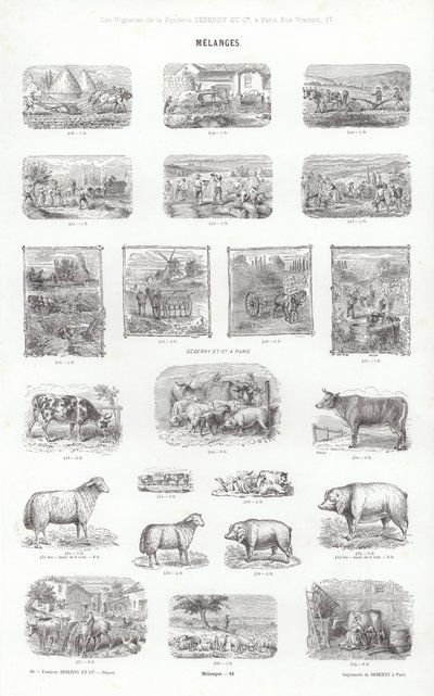 Página de Vignettes Typographiques (gravura) de French School