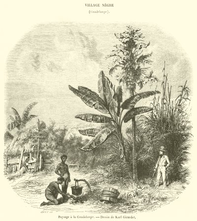 Paisagem em Guadalupe (gravura) de French School