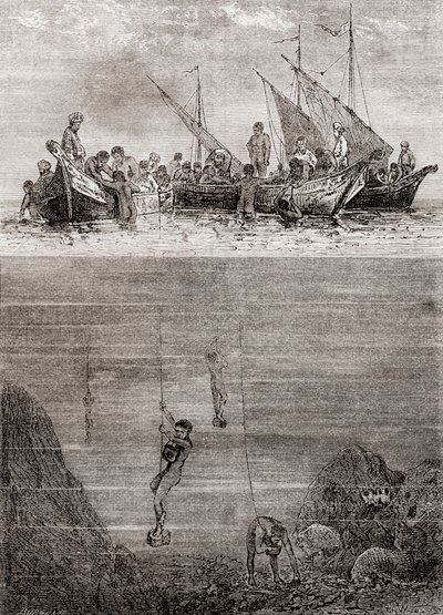 Mergulhadores Pearl ao largo da costa da Ilha do Ceilão no século XVIII, de 