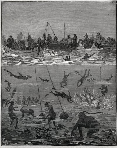 Pescadores de pérolas no Ceilão (actual Sri Lanka) no século XIX. Gravura de 1885 em "Les arts et metiers illustres" de Adolphe BITARD. de French School