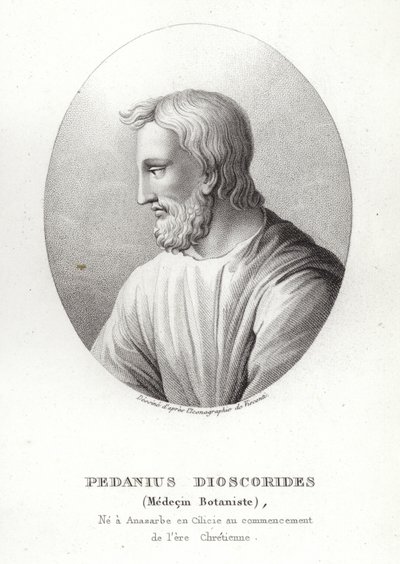 Dioscórides de French School