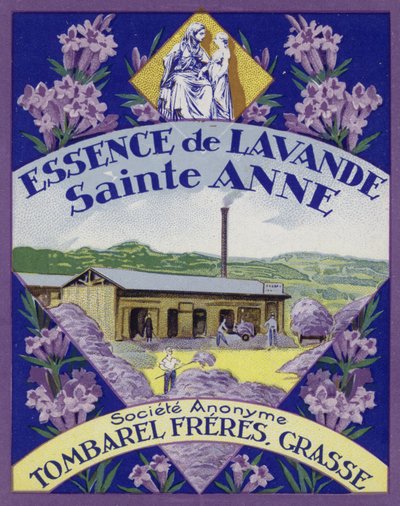 Rótulo de perfume, essência de lavanda de French School