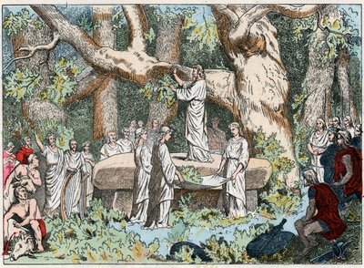 Colheita de visco dos druidas em Gaule, final do século XIX (gravura) de French School
