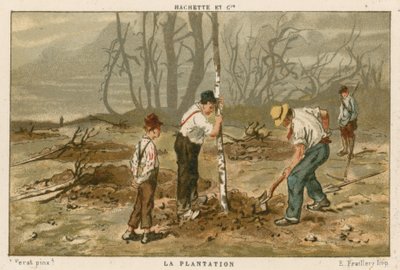 Plantando árvores de French School