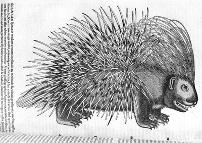 Porcupine, de "History of Animals&39; por Conrad Gesner (1516-1565) 1551 de French School