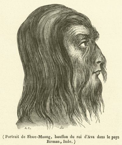 Retrato de Shwe-Maong, bobo do rei de Ava em Burma, Índia (gravura) de French School