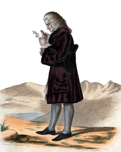 Retrato de Bernard de Jussieu (1699-1777), naturalista francês. de French School