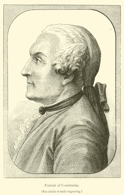 Retrato de Condamina (gravura) de French School