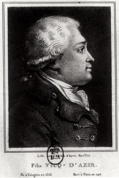 Retrato de Felix Vicq dAzyr (1748-94) de French School