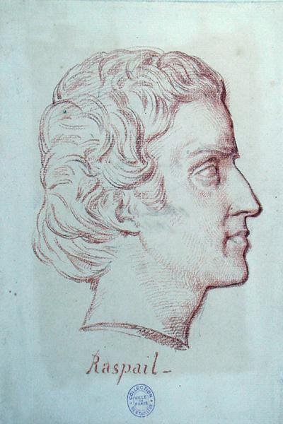 Retrato de François Vincent Raspail (1794-1878) (giz vermelho sobre papel) de French School