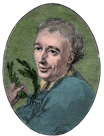 Retrato de Laurence Eusden (1688-1730) poeta inglês. de French School