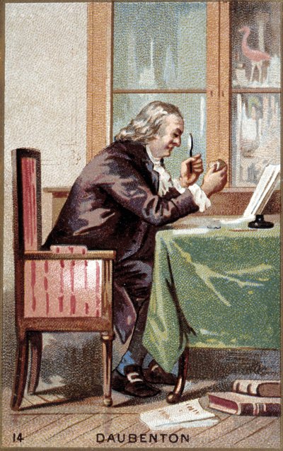 Retrato de Louis Jean Marie Daubenton (1716 - 1800), naturalista francês. de French School