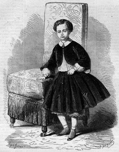 Retrato de Napoleão Eugene Louis Jean Joseph Bonaparte (1856-1879), conhecido como Príncipe Imperial, filho de Napoleão III. Gravura em "Le Monde Illustré" n°137 de 26 de novembro de French School