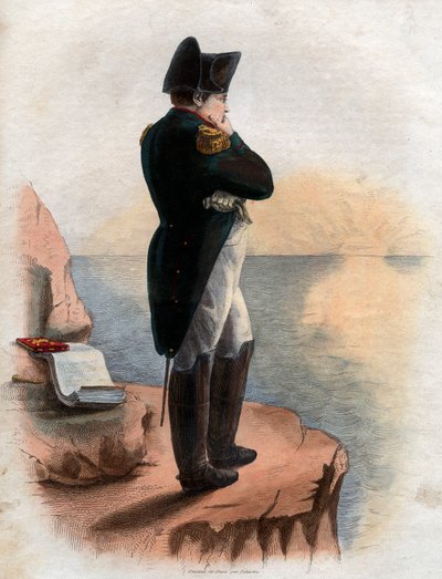 Retrato de Napoleão I (1769-1821) na ilha de Santa Helena. de French School